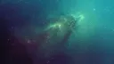 splash