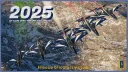 Frecce Tricolori Virtuali - OFFICIAL CHANNEL splash