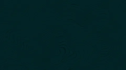 Neeko splash