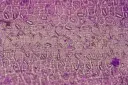 Microscopy and Imaging splash