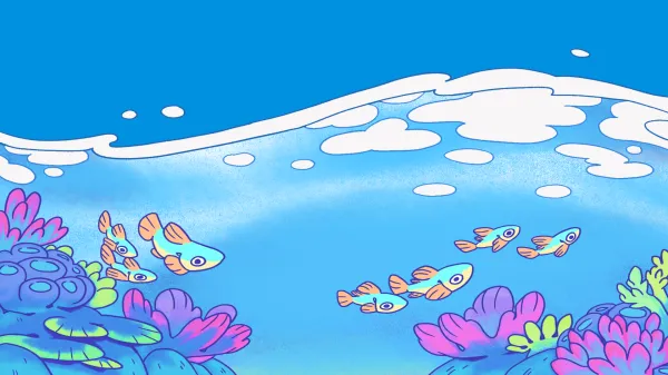 splash