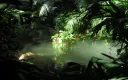 splash