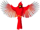 Cardinal Studios splash
