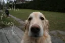 splash