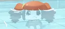 splash