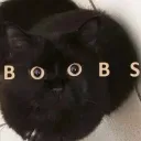 splash