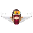 Flying Canucks splash