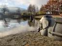 People, Postgres, Data splash