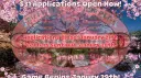 J.G. Reality Shows Season 31: Japan splash