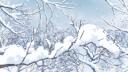 ٠࣪⭑⸙ѕησω₊˚༄. Banner