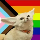 Fennec Fanclub splash