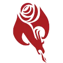 South Jersey DSA splash