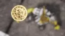Thoughtless Casual Gaming splash