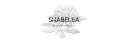 読み上げBot「ShabeleA」公式サーバー splash