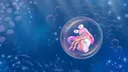 splash