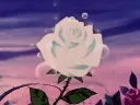 The Hall of the Unloved Discord server banner