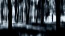 The Lost Souls Banner