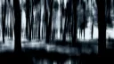 The Lost Souls Discord server banner