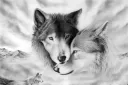 Wolfy's Den splash