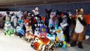 SwissFurs -  Schweizer Furry Fandom splash