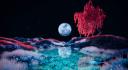 Moonbeam