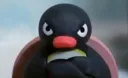 CLUB PENGUIN splash