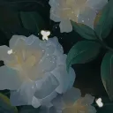 Milky Way splash