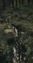 splash