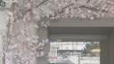 ﹒  ﹕ efflorescence Banner