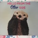 Otter Side splash