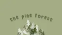 The Pine Forest ✿ splash