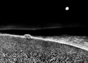 Berserk TCG splash