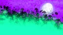 splash