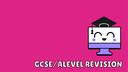 Revision Server