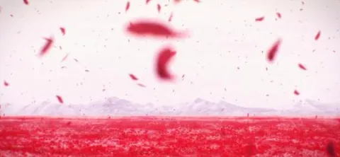 LycheeClub splash