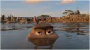 𝘊𝘳𝘰𝘲𝘶𝘦𝘵𝘢𝘴 𝘤𝘰𝘮𝘮𝘶𝘯𝘪𝘵𝘺 splash