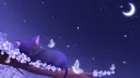 The Yunaverse splash