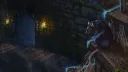 splash