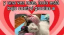 propiedad de morgana splash