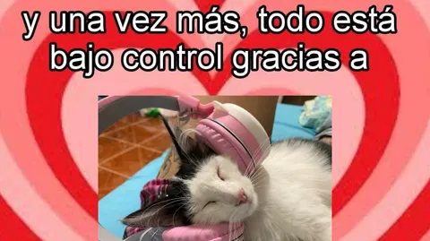 propiedad de morgana splash