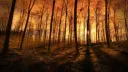 Daydreamer’s Hideaway Discord server banner