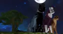 FeralHeart Society splash