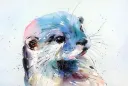 splash