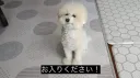 趣味鯖@∞ splash
