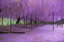 Hiraeth❥ Discord server banner