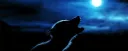Le Repaire des Loups-Garous splash