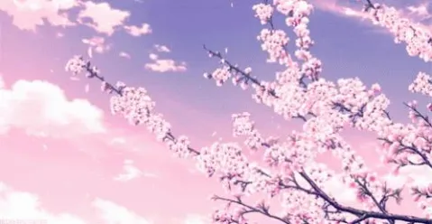 🌸 Cam's Garden 🌸 splash