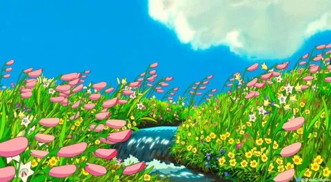 Erro 404 splash