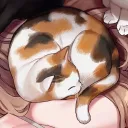 ❀獵寶與貓貓の窩❀ splash