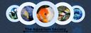 The Aquarium Society Banner
